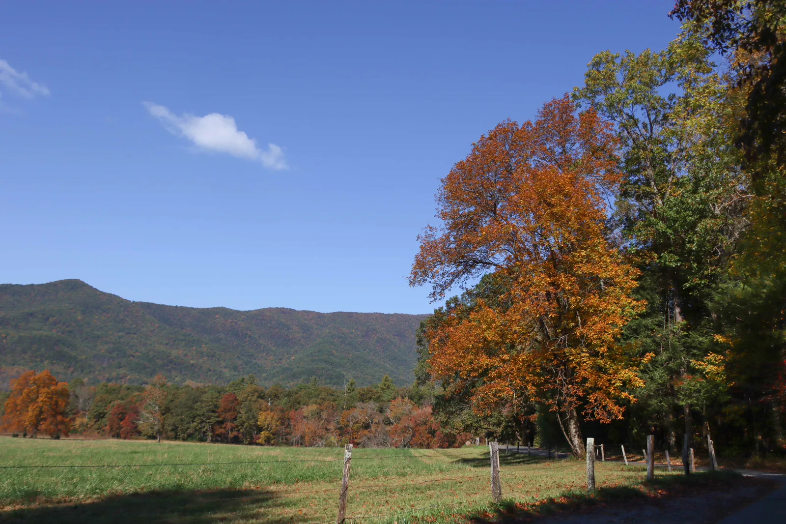 Fall view of the Cades Cove loop in Great Smoky Mountains National Park, October 2020